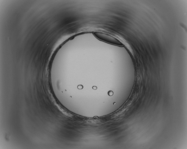 X0000090971053200708301221