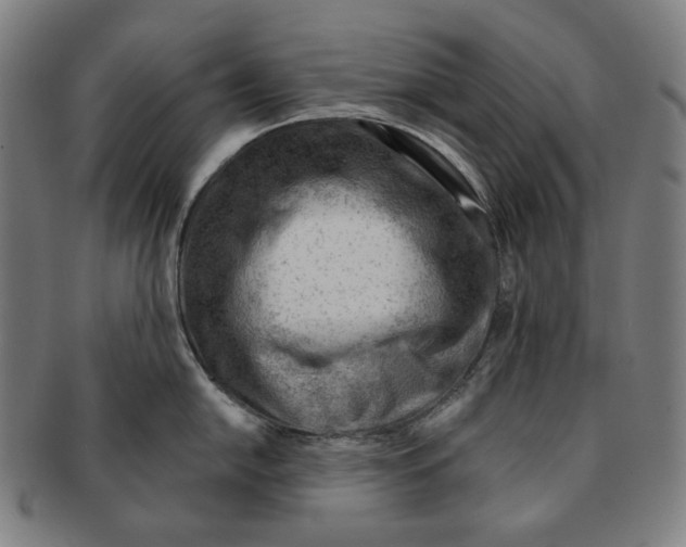 X0000090971054200708301221