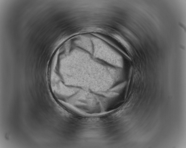 X0000090971055200708301221