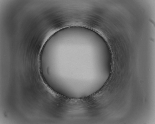 X0000090971056200708301221