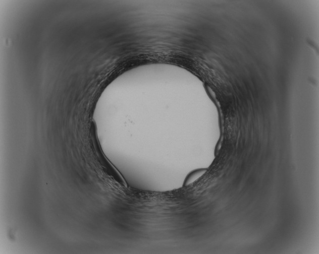 X0000090971057200708301221