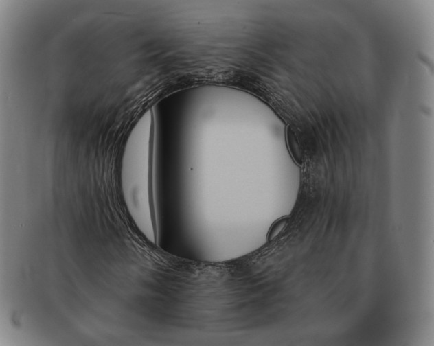 X0000090971058200708301221