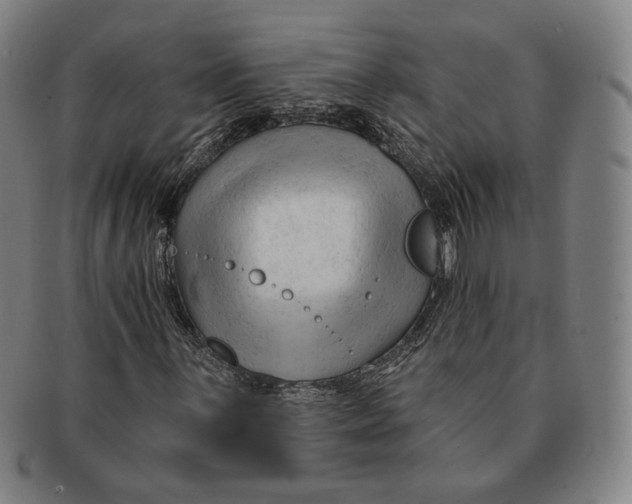 X0000090971059200708301221