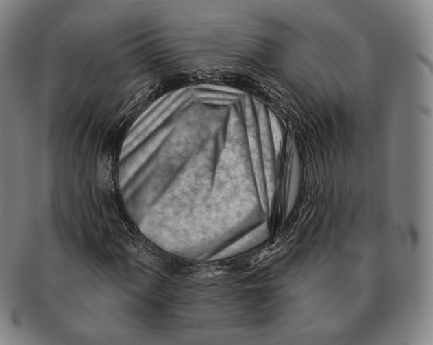 X0000090971060200708301221