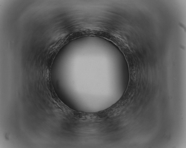 X0000090971061200708301221