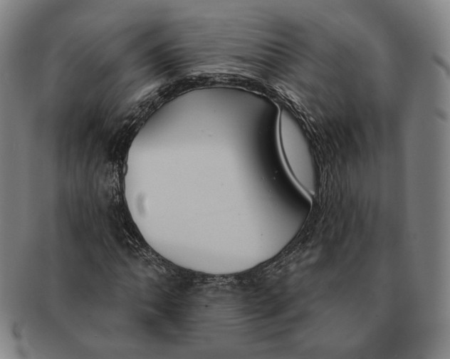 X0000090971062200708301221