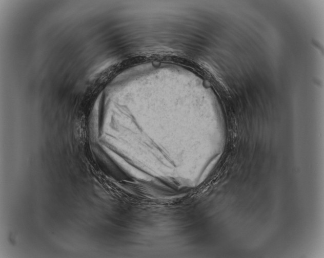 X0000090971063200708301221