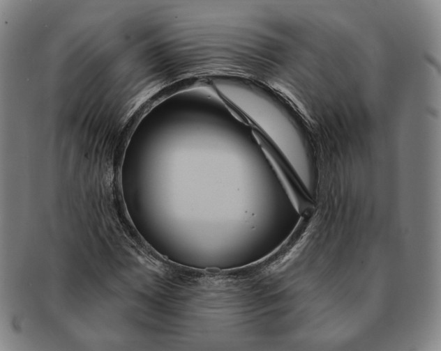 X0000090971065200708301221