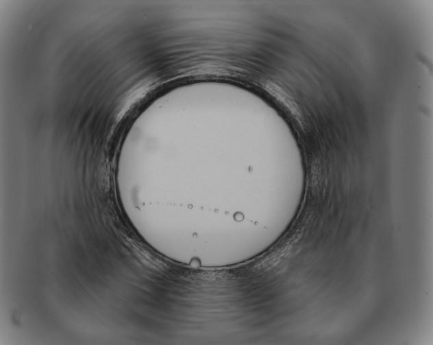 X0000090971067200708301221