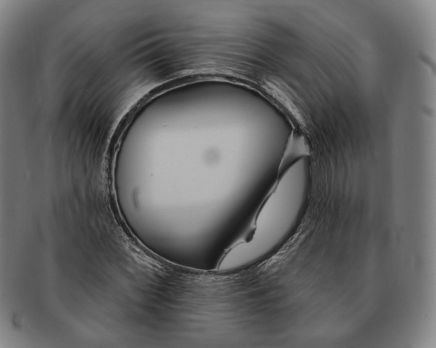 X0000090971068200708301221