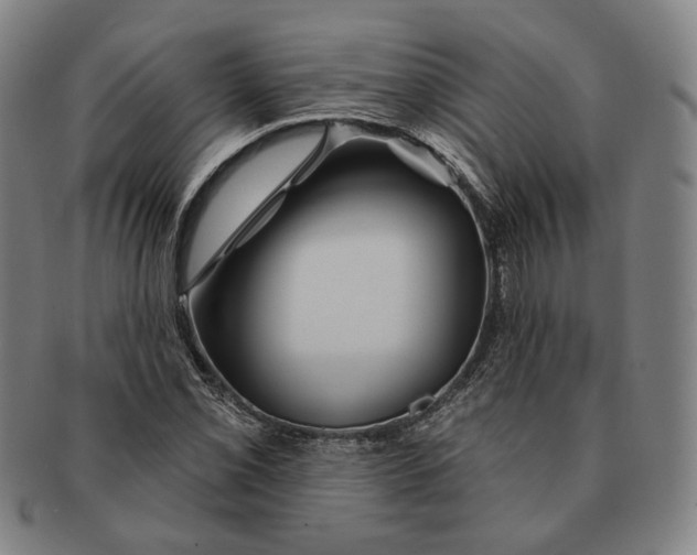 X0000090971069200708301221