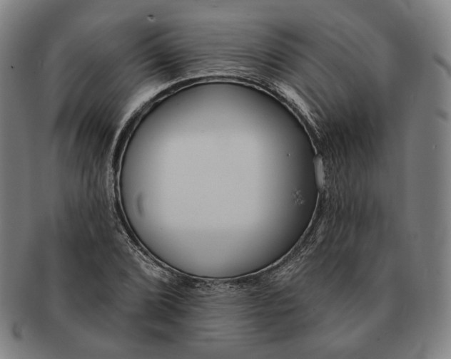 X0000090971072200708301221