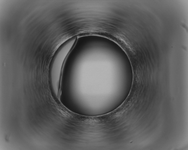 X0000090971073200708301221