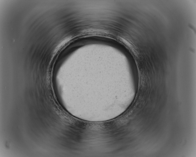 X0000090971074200708301221