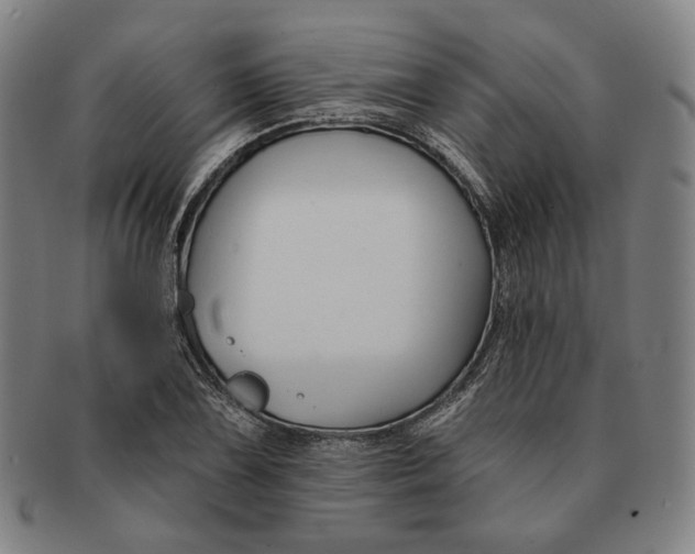 X0000090971075200708301220