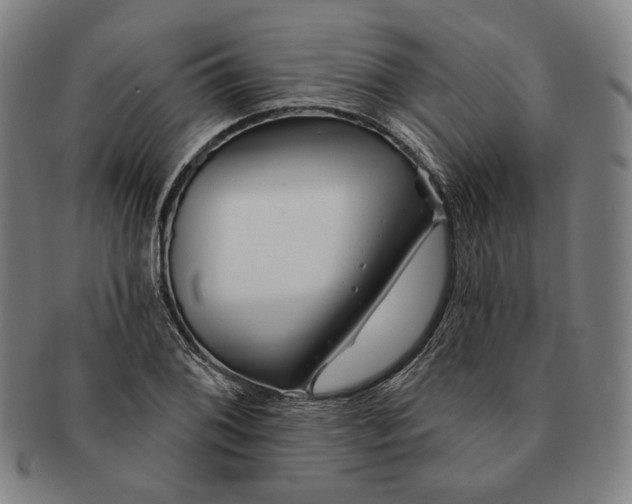 X0000090971076200708301220