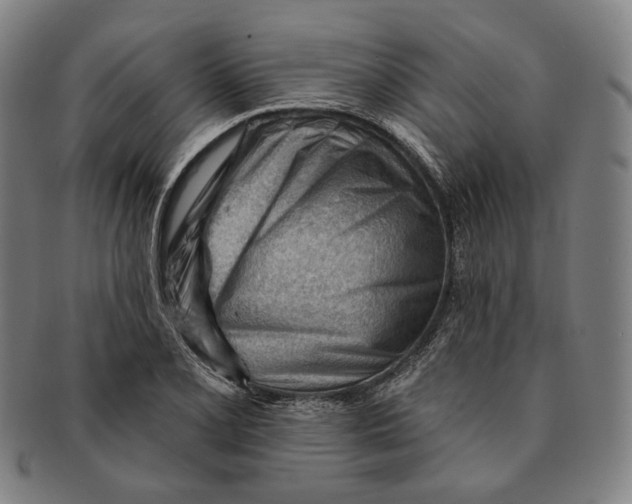 X0000090971077200708301220