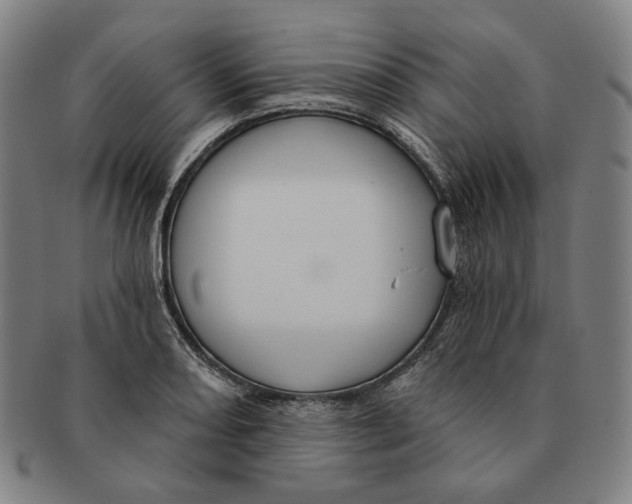 X0000090971082200708301220