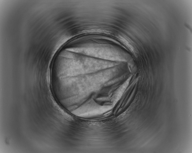 X0000090971084200708301220