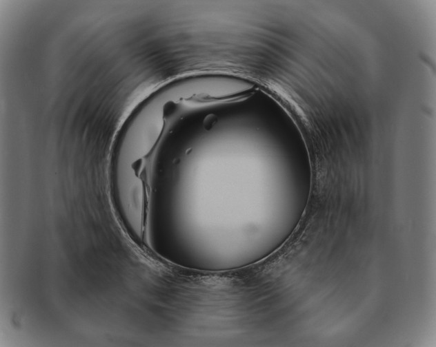 X0000090971085200708301220