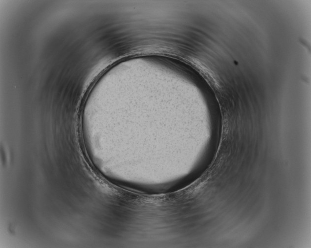 X0000090971086200708301220