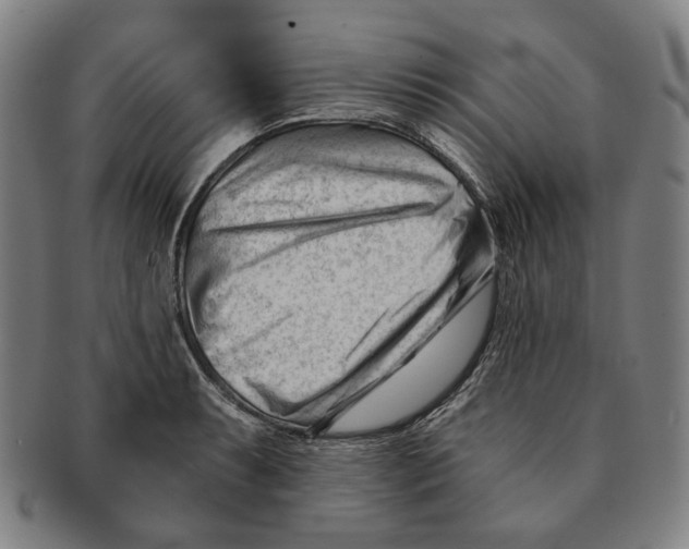 X0000090971087200708301220