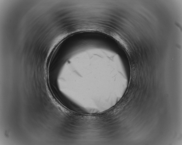 X0000090971088200708301220