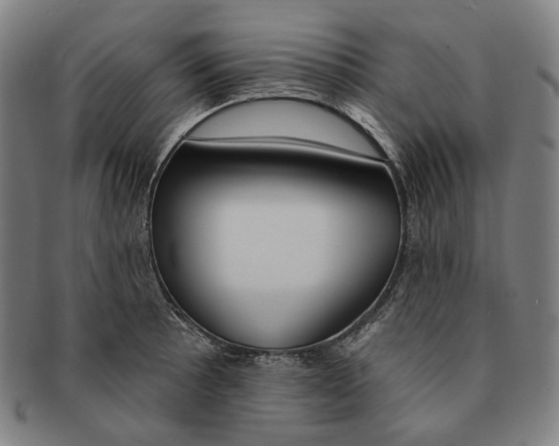 X0000090971089200708301220