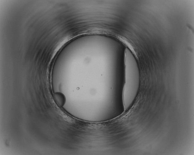 X0000090971091200708301220