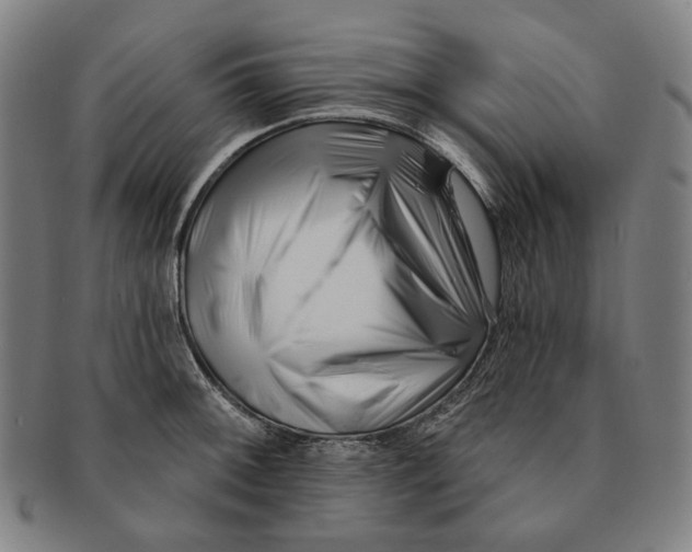 X0000090971092200708301220