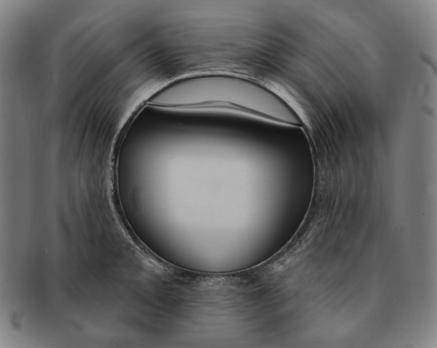 X0000090971093200708301220