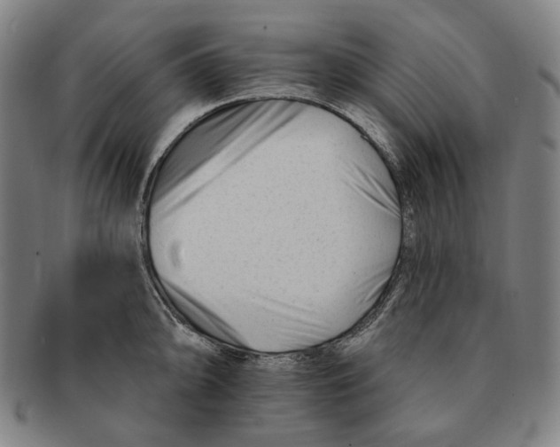 X0000090971094200708301220