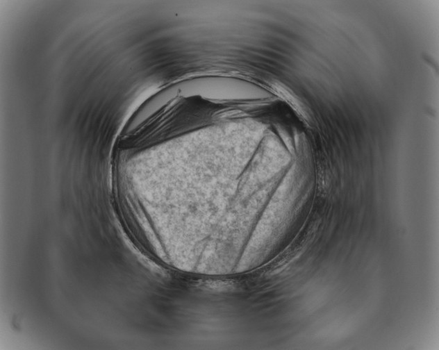 X0000090971095200708301220