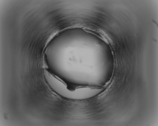 X0000090971097200708301220