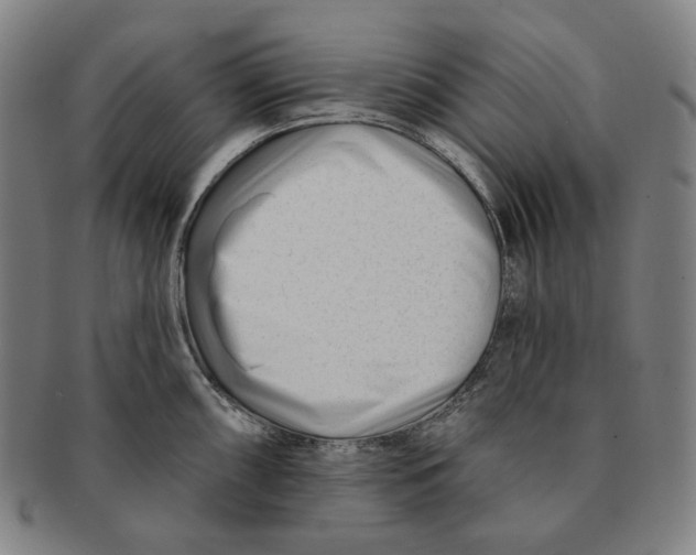 X0000090971098200708301220