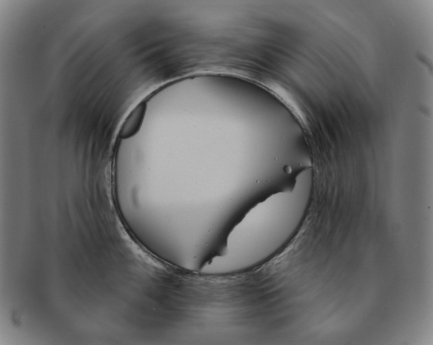 X0000090971100200708301220