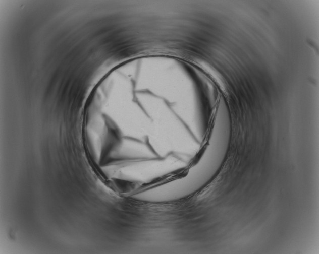 X0000090971102200708301220