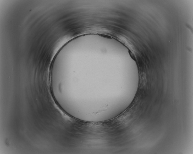 X0000090971103200708301220