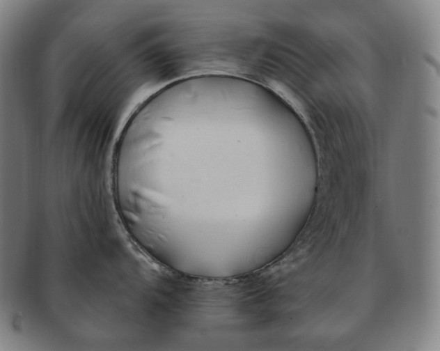 X0000090971104200708301220