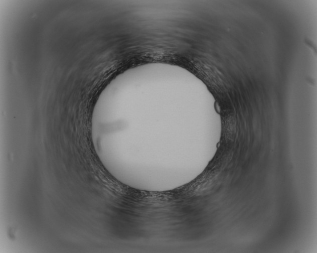 X0000090971105200708301219