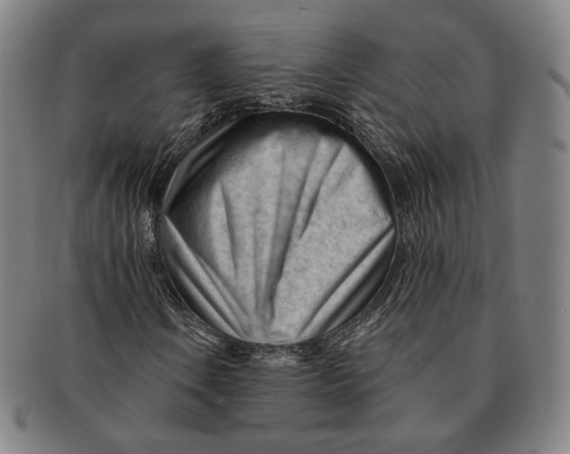 X0000090971106200708301219