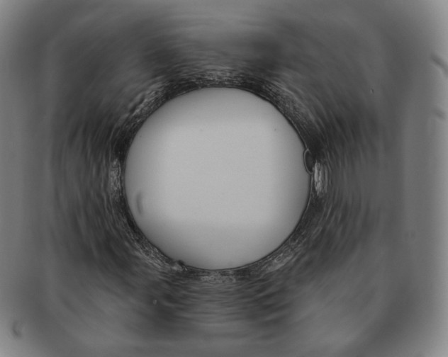 X0000090971107200708301219