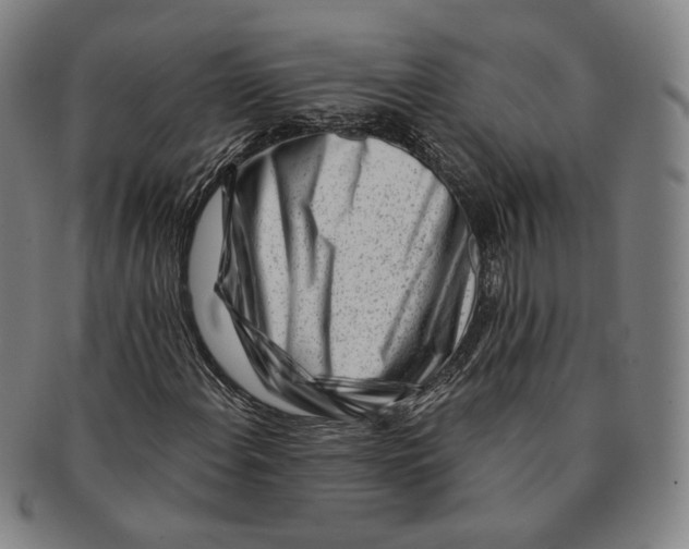 X0000090971108200708301219