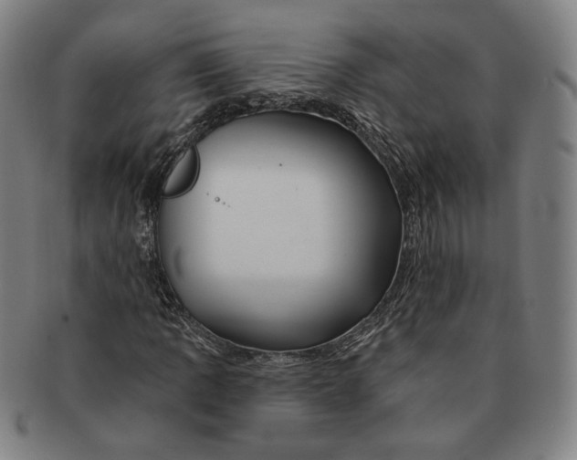 X0000090971109200708301219