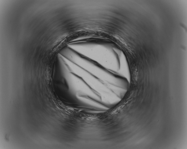 X0000090971110200708301219