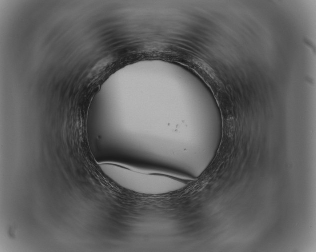 X0000090971111200708301219