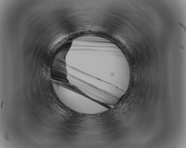 X0000090971112200708301219