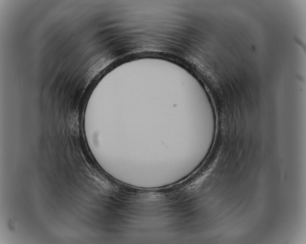 X0000090971113200708301219