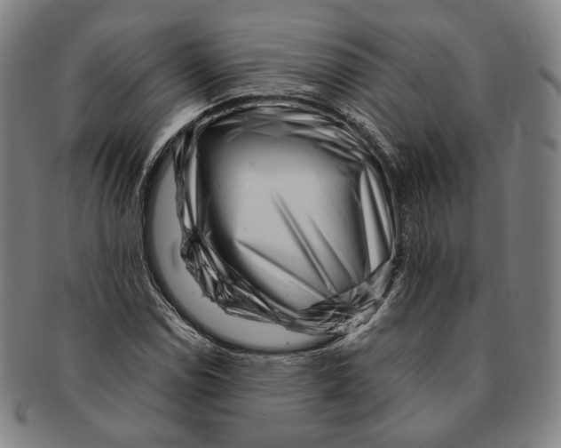 X0000090971114200708301219