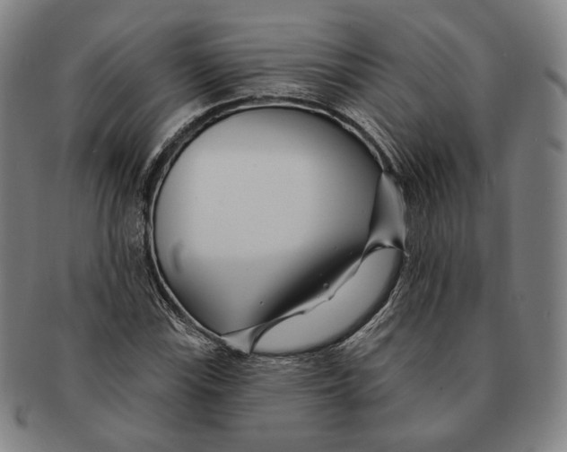 X0000090971115200708301219